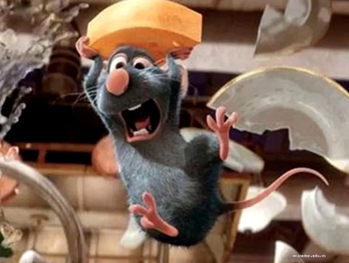 Khám phá thế giới meme chuột: Từ hài hước đến hoảng sợ