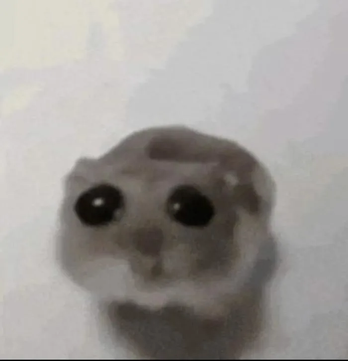 Mình móc len con chuột hamster buồn meme đó nha : r/crochet