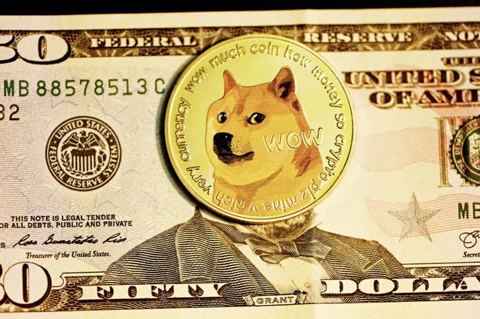 Tấm vé xổ số meme coin, được ăn cả ngã về không | Vietcetera