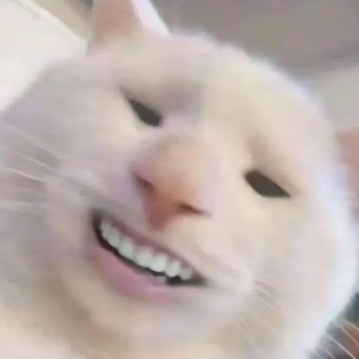 500+ meme mèo bựa, cute, khóc cười siêu vô tri hài hước cho các sen