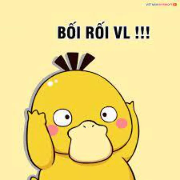 TOP 50+ ảnh vịt meme Psyduck cực hài hước, bá đạo và cute | Yody