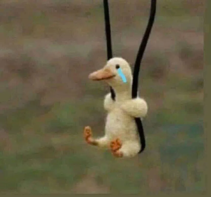 Tổng hợp những meme vịt hài hước, độc đáo và bá đạo nhất mạng xã hội hiện  nay