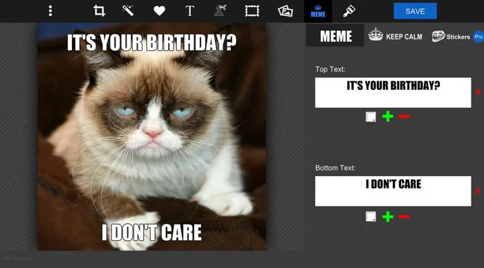 Online MEME Maker | MEME Designer Tool | piZap