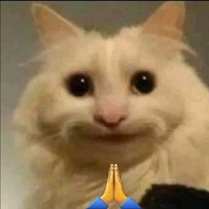 Danh sách những meme cười đểu vô cùng hài hước