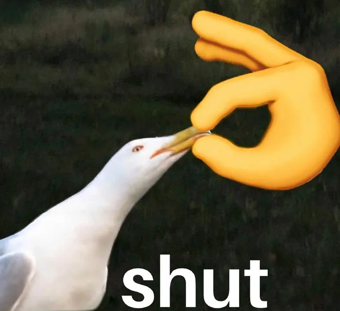 File ảnh meme 