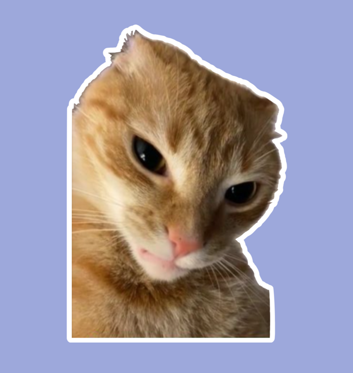 Ratchet Orange Cat Meme Die Cut Sticker Decal | eBay