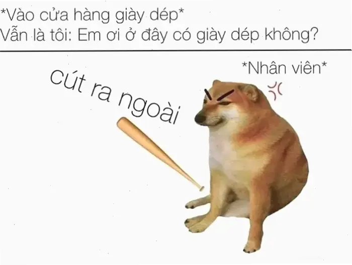 Tuyển tập Meme Cút: Biểu cảm thái độ "biến đi cho nhẹ đời"