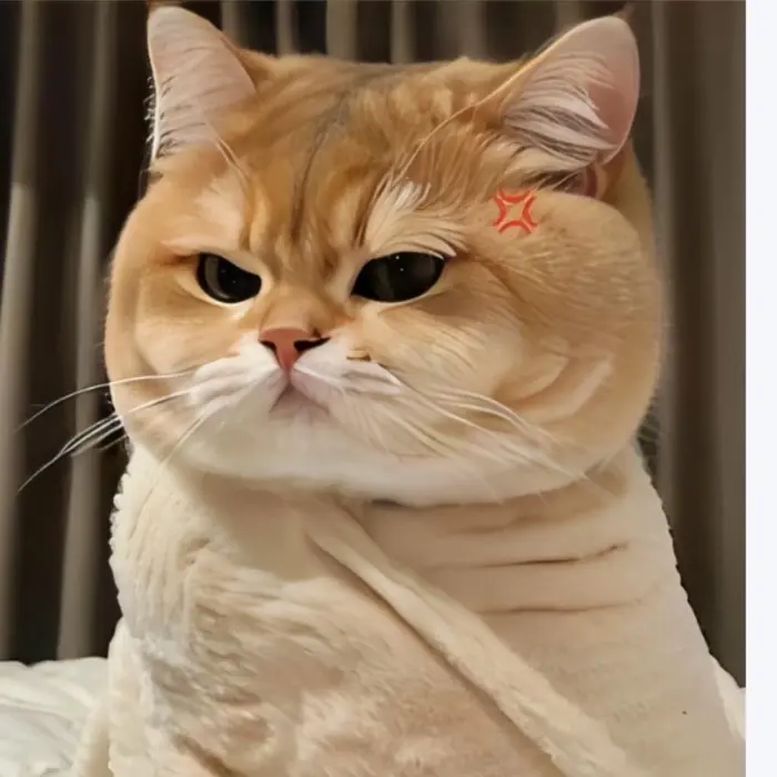 meme-dang-yeu-1