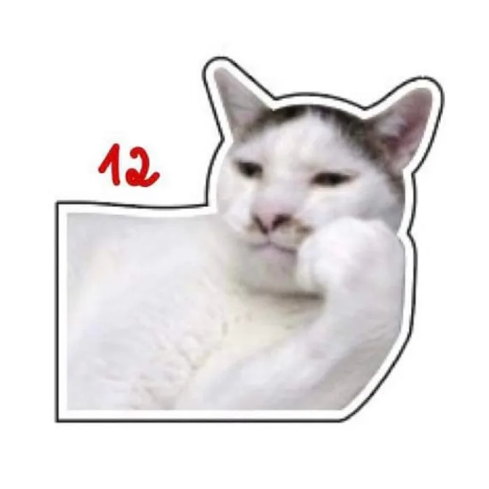 Stickers] Stickers/ Hình dám meme đáng yêu | Shopee Việt Nam