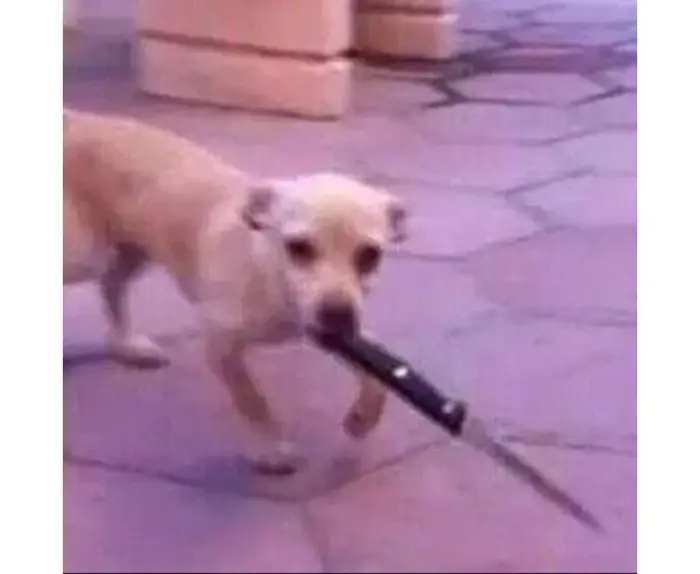 Khám phá bộ sưu tập ảnh đánh meme làm bạn cười thả ga