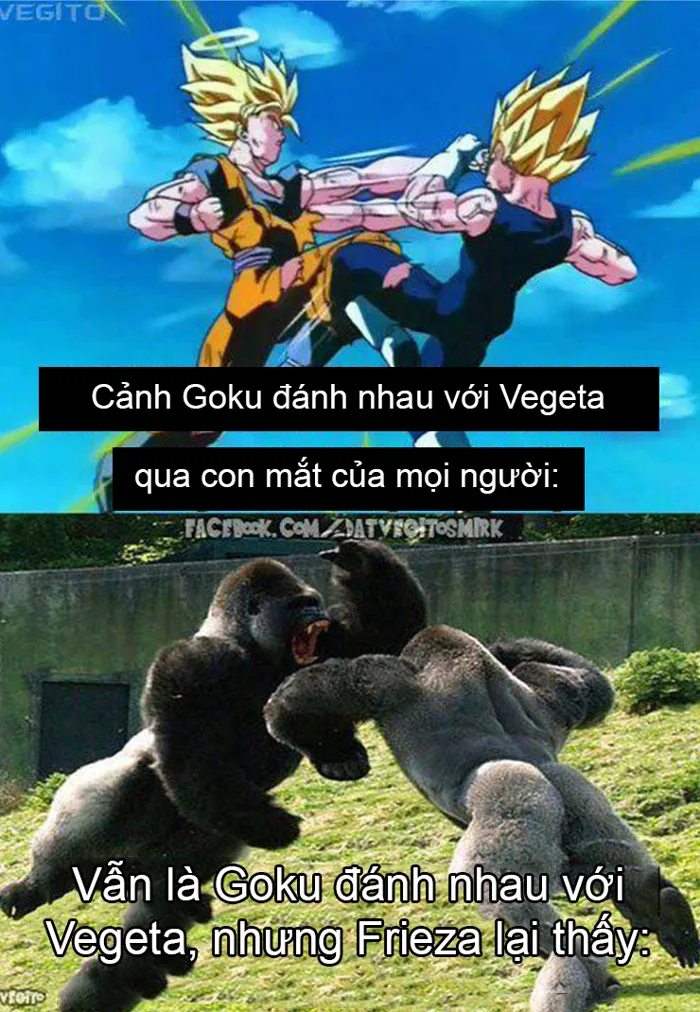 Dragon Ball: Giải khuây khi ở nhà tránh dịch với loạt meme về các nhân vật  phản diện hài khó đỡ