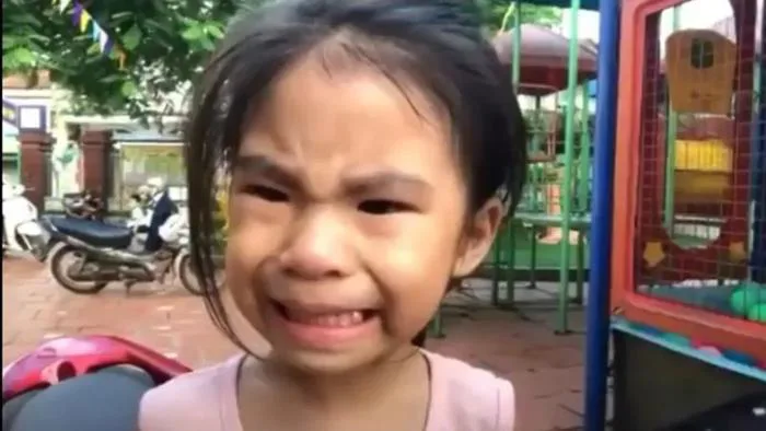 Tổng hợp 200+ Meme Mới Nhất 2025: Hài Hước, Cute, Bựa, Deep