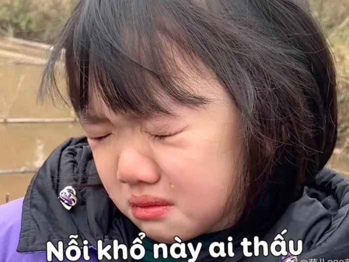 Tuyển chọn 30+ ảnh meme khóc cực hài hước không hề giả trân