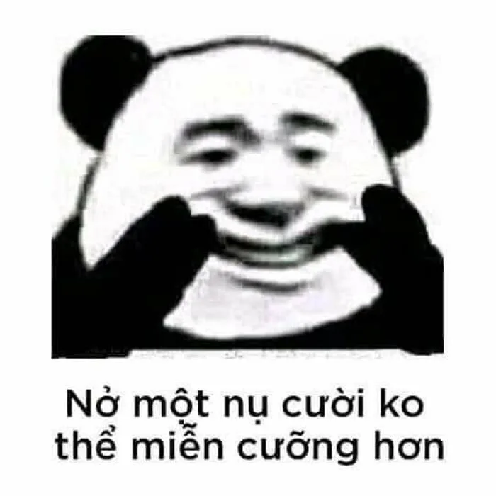 Meme Cười Bá Đạo [44+ Meme Cười Ẻ, Cười Đau Khổ, Cười Điên]