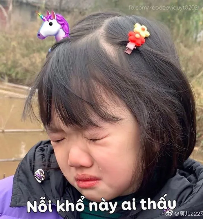 Bé gái khóc nỗi khổ này ai thấu? - Đau khổ - Ảnh chế meme