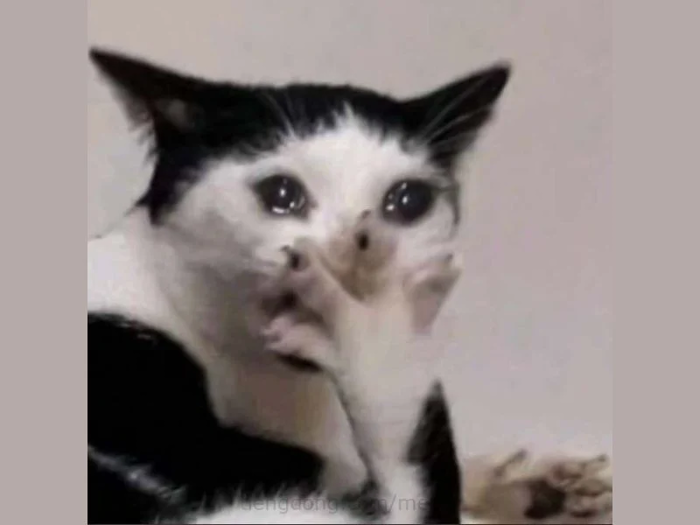 Đau ở đây này meme - Tổng hợp meme đau ở đây này hài hước