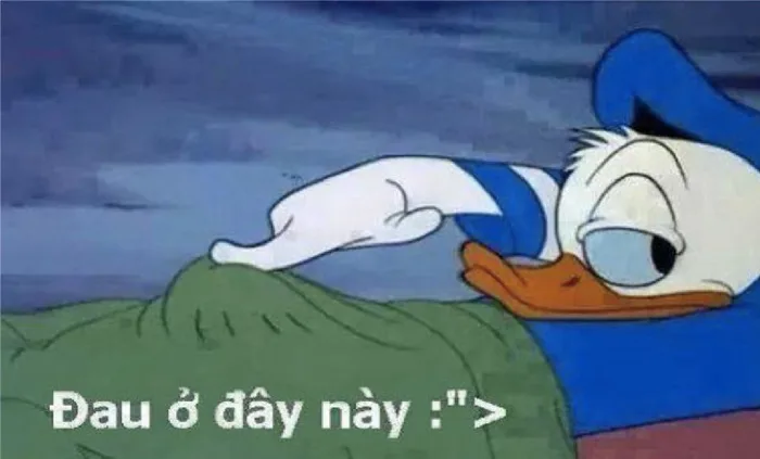 Top vịt Donald meme - Donald Duck bá đạo siêu lầy lội
