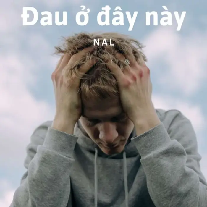 108+ Meme Đau Tim Hài Hước Xem Xong Không Nhịn Được Cười