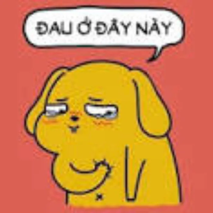 Trọn bộ 50 meme Đau Ở Đây Này HÀI HƯỚC, GÂY BÃO | Yody