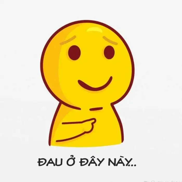 108+ Meme Đau Tim Hài Hước Xem Xong Không Nhịn Được Cười