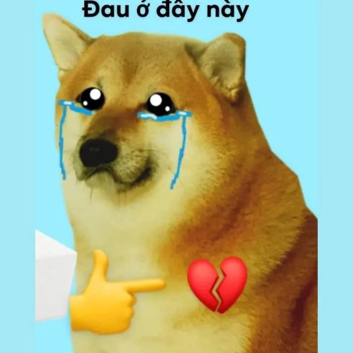 Trọn bộ 50 meme Đau Ở Đây Này HÀI HƯỚC, GÂY BÃO | Yody