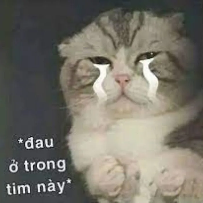 Trọn bộ 50 meme Đau Ở Đây Này HÀI HƯỚC, GÂY BÃO | Yody