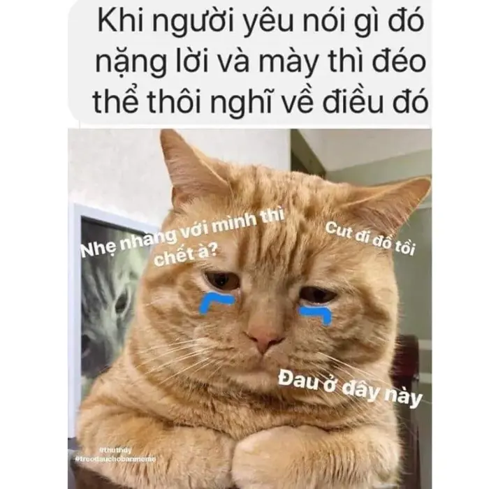 108+ Meme Đau Tim Hài Hước Xem Xong Không Nhịn Được Cười