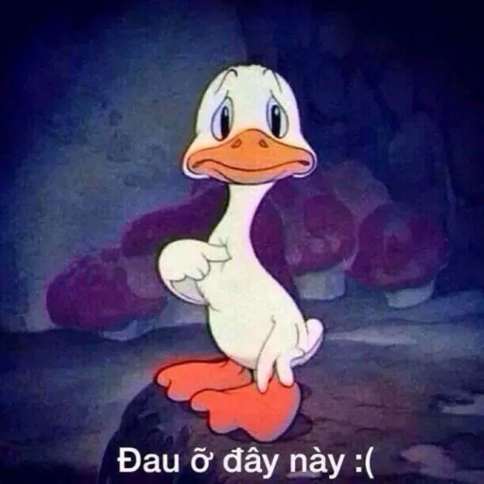 Trọn bộ 50 meme Đau Ở Đây Này HÀI HƯỚC, GÂY BÃO | Yody