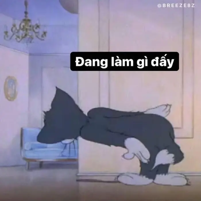 Những ảnh meme thả tim độc đáo để thể hiện tình cảm