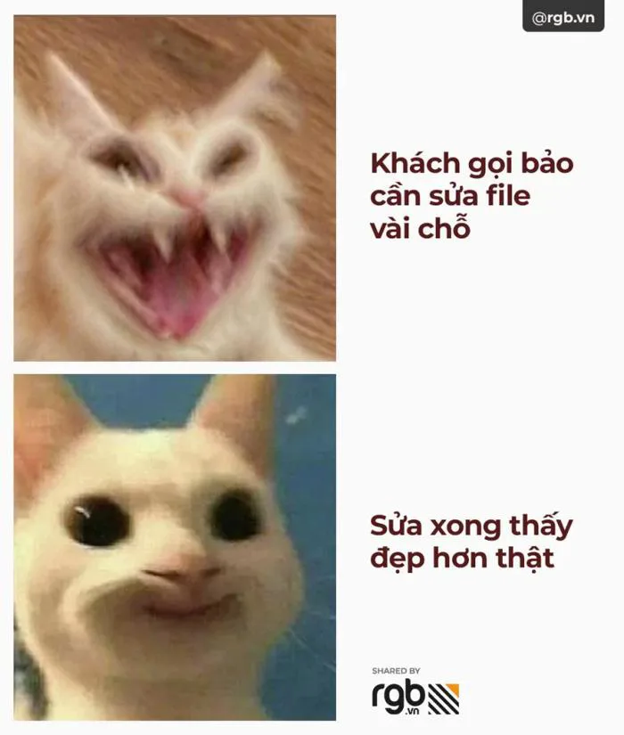 Tổng hợp meme cuộc sống designer & agency cho chuỗi ngày chạy deadline thêm vui – RGB Tổng hợp meme cuộc sống designer & agency cho chuỗi ngày chạy deadline thêm vui – RGB