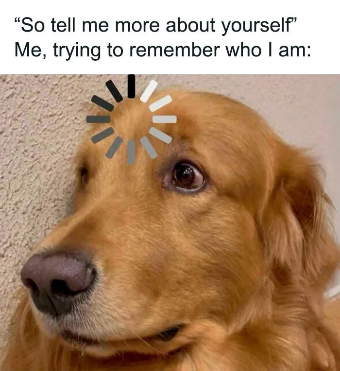 50 Adorable Dog Memes To Warm Your Heart And Make You Laugh | Bored Panda
