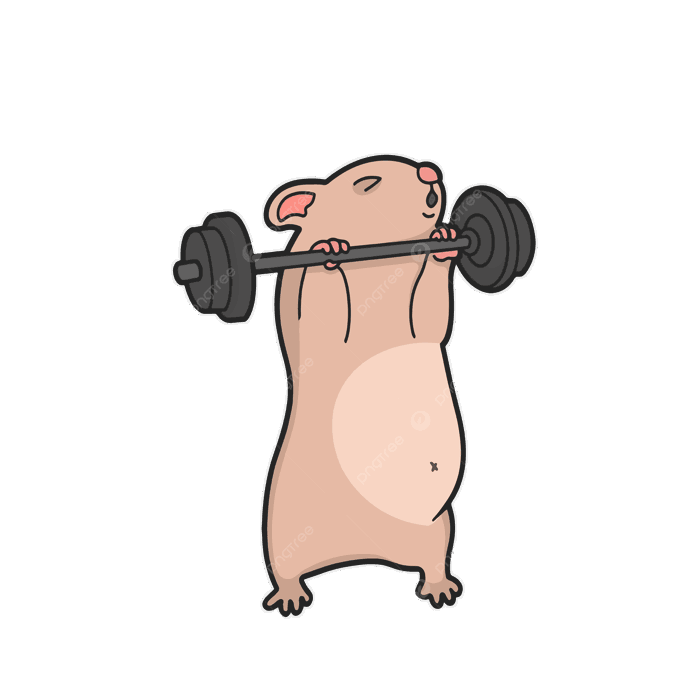 Hình ảnh động Vật Memes Phòng Tập Thể Dục Nhãn Dán Vector Minh Họa Dễ  Thương PNG , Clipart động Vật, Clipart Phòng Tập Thể Dục, Meme PNG và  Vector với nền