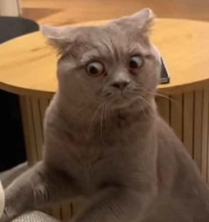 Tổng Hợp 9999+ Meme Ngạc Nhiên Biểu Cảm Vui Nhộn, Hài Hước