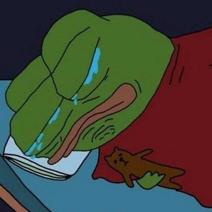 Tuyển tập những meme ếch hài hước nhất, mang đến tiếng cười sảng khoái