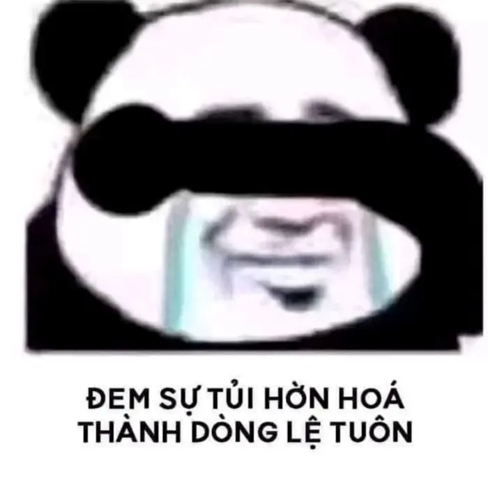 Thế Giới Meme Gấu Trúc: Biểu Cảm Lầy Lội Đến Dễ Thương Hài Hước – AquaGreen  – Hệ thống nhà thuốc Việt Mỹ