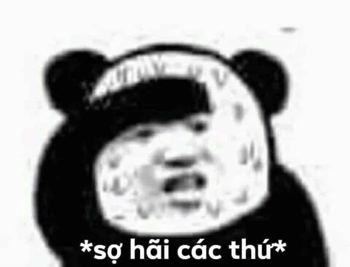 Meme ⚡ Gấu trúc mặt sợ hãi các thứ