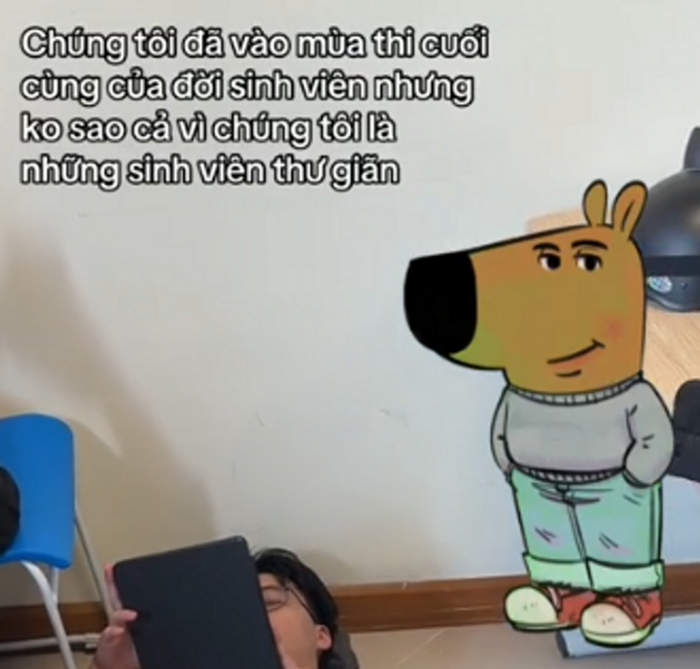 Vì sao meme 'Chill guy' gây sốt điên đảo trên mạng xã hội?