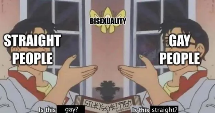 This viral bisexual meme is painfully true | PinkNews