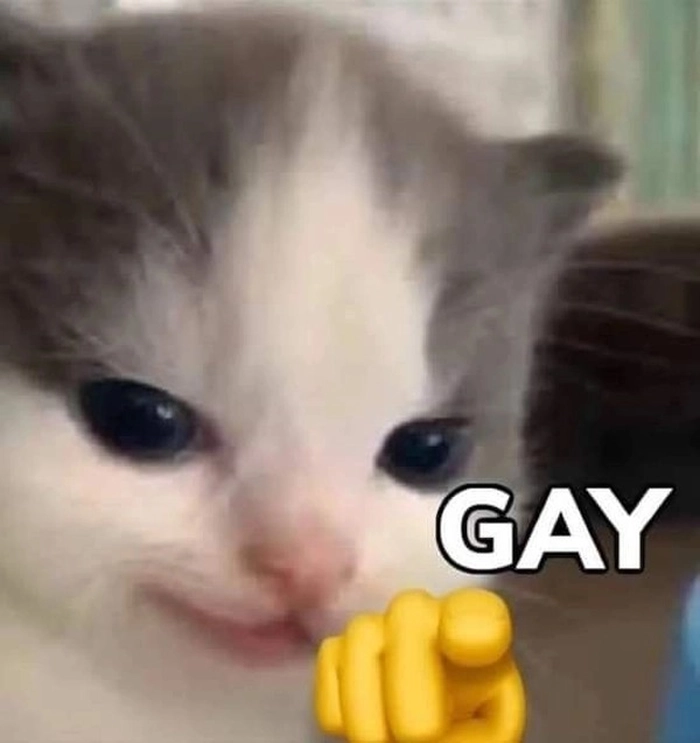 Tuyển chọn 769+ ảnh meme sẽ gầy bao hài, vui nhộn, hot trend
