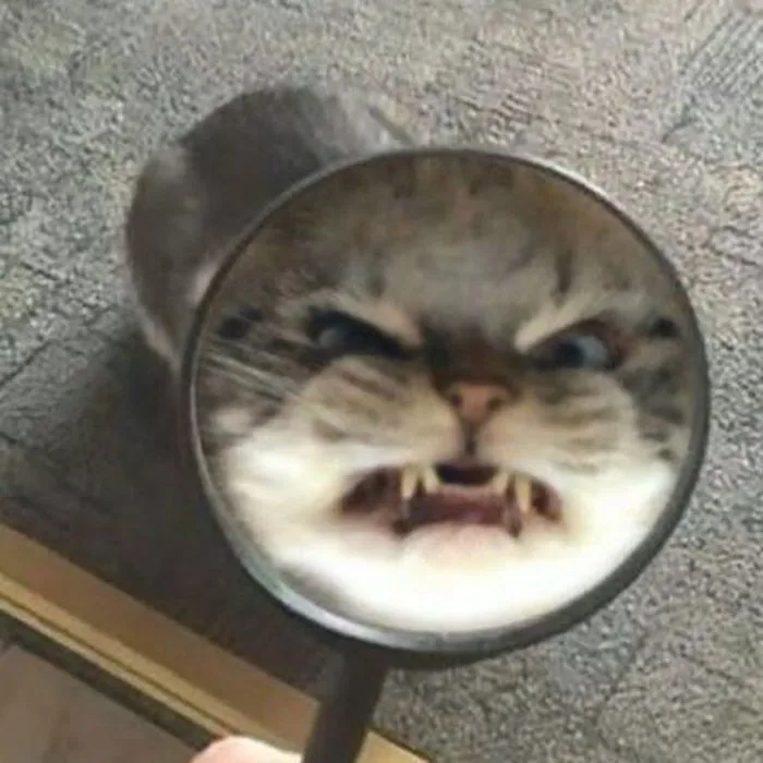 Tuyển tập meme 'giận dỗi' hài hước nhất