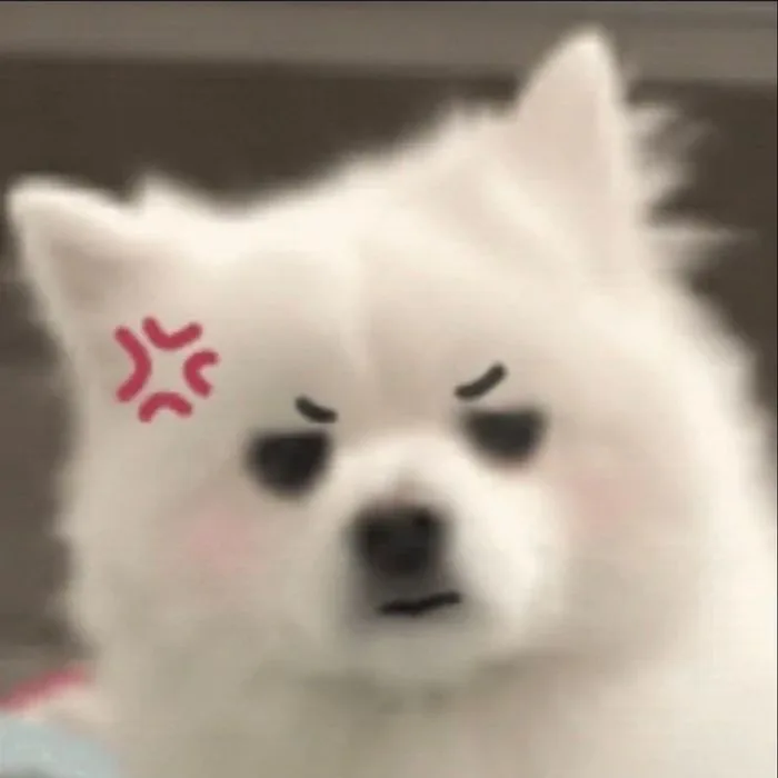 Tuyển tập meme 'giận dỗi' hài hước nhất