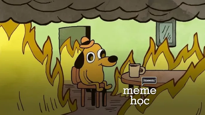 This is Fine – Tâm bất biến giữa dòng đời vạn biến | Vietcetera