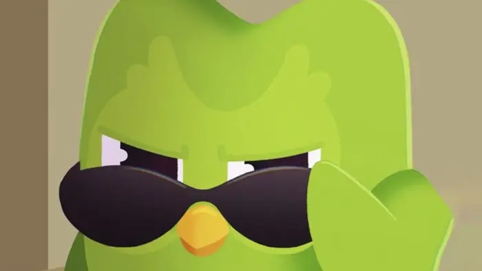 Bộ sưu tập ảnh Duolingo Meme khiến dân mạng phát cuồng