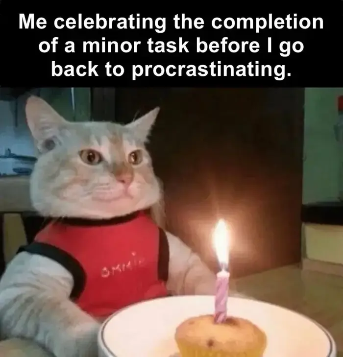 Tải ngay ảnh meme chúc mừng sinh nhật cực hài cho bạn bè