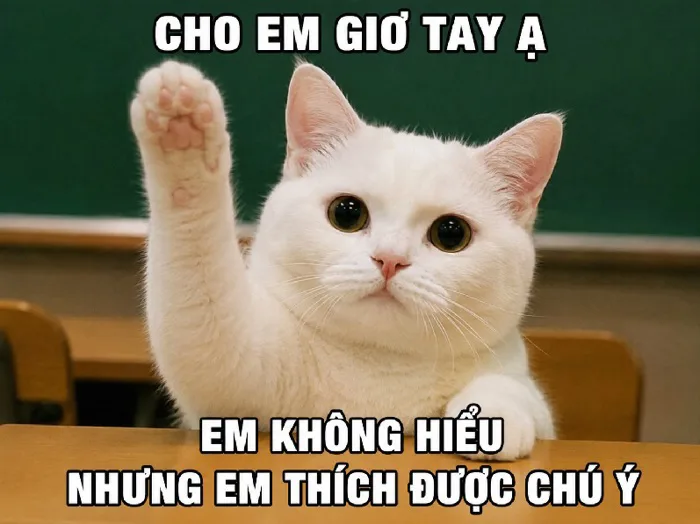Khám phá trọn bộ meme giơ tay hài hước độc đáo nhất hiện nay -  hinhanhdep3d.com