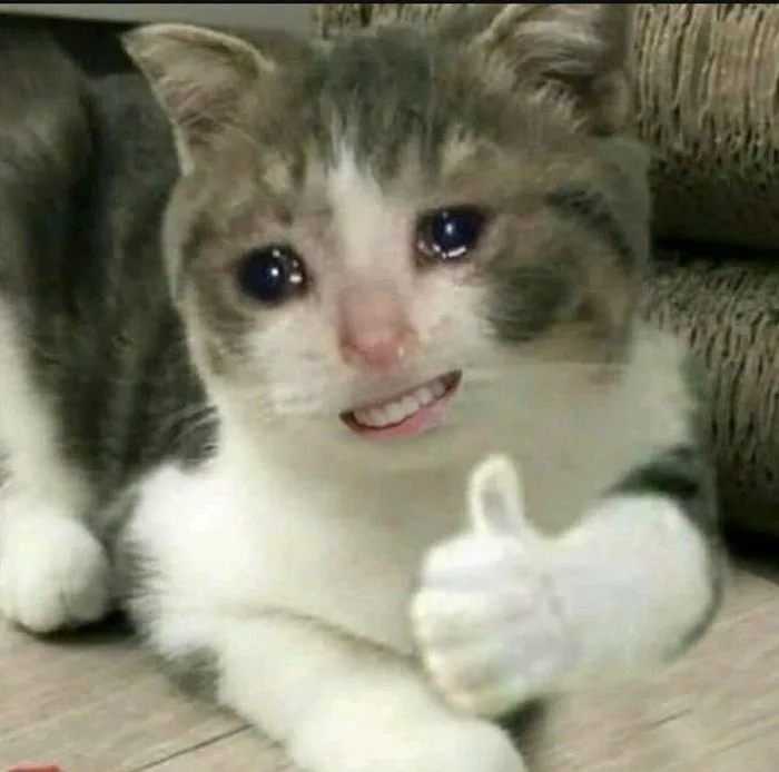 Tổng hợp những hình ảnh meme giơ tay đầy hài hước và sáng tạo