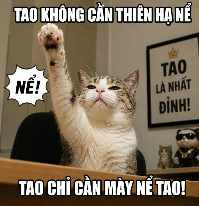 144+ Meme Mèo Giơ Tay, giơ ngón giữa bá đạo cười ẻ luôn