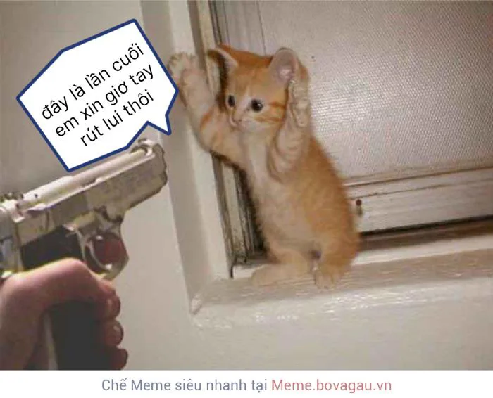 còn nước còn tát