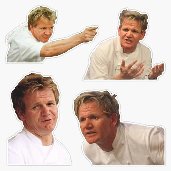 TCT Trading Angry Gordon Ramsay Meme Pack Vinyl Stickers Waterproof Decal  Car, Laptop, Bumper Stickers 5