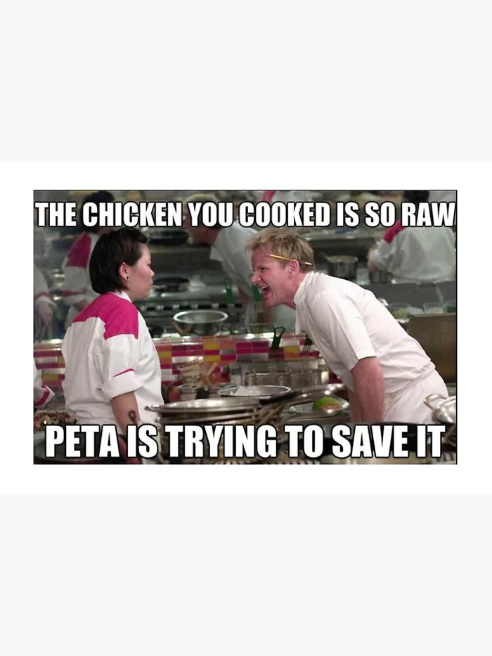 Funny chicken meme from gordon ramsay